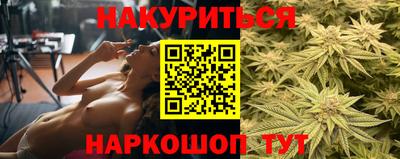 сатива Кулебаки