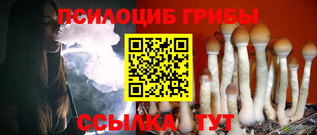 Псилоцибиновые грибы прущие грибы  Вход с VPN  Усинск 